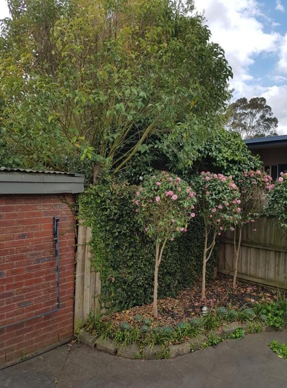 Creek Cottage Bed And Breakfast Traralgon Exterior photo